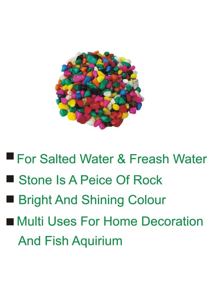 Somil Multicolor Pebbles/Stones for Garden, Plants, Lawns, Aquariums, Fish Pots, Home Decor, Vases, Furniture Filler. Size: 10-30mm, Shiny Multicolor -A207 - Image 2
